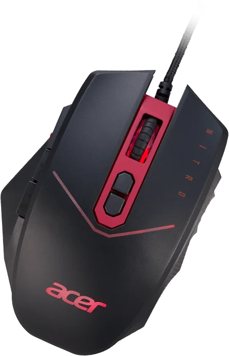 mysz